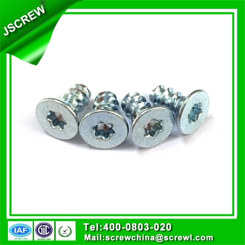 Customized Stainless Steel Round Head Wood Screws M3