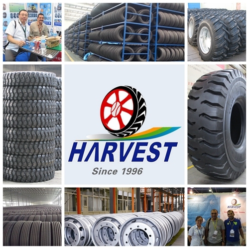 Havstone Brand Bias off-The-Road Tyres for Mining