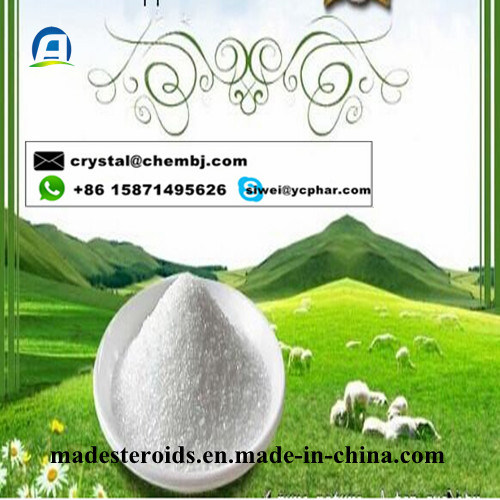 Safety Synephrine Hydrochloride CAS 365-26-4 Weight Loss Raw Powder