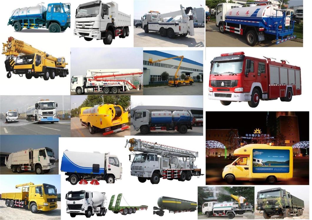 China Best Famous HOWO Cargo Truck of 4*2