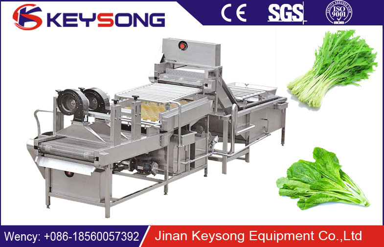 High Capacity Fruit and Vegetable Washer Vegetable Washing Machine/Bubble Washer