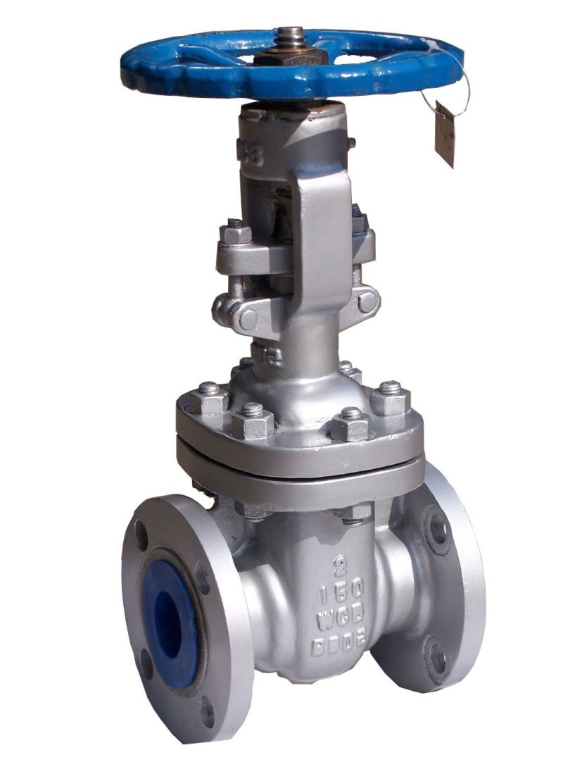 API Forged Steel Flanged End 900lbs Gate Valve