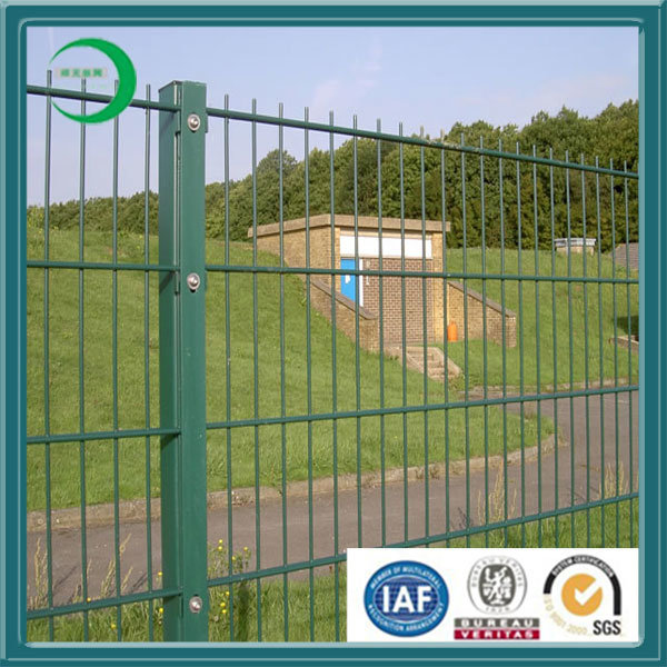 PVC&Galvanized Chain Link Fence (XY-12D)