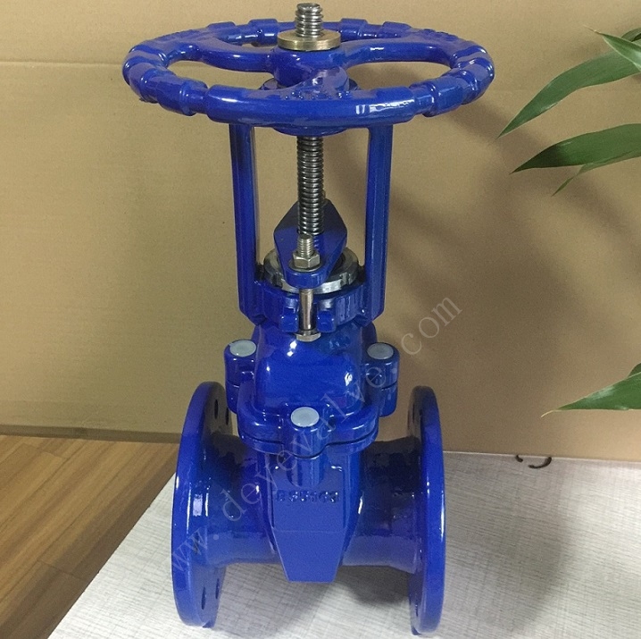 DIN BS New Design Ductile Iron Rising Stem O S& Gate Valve for Water Industry