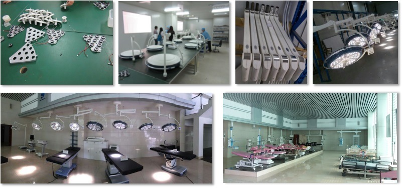 Luxury Nursing Equipment 5 Functions Adjustable Electric Hospital/Medical Bed