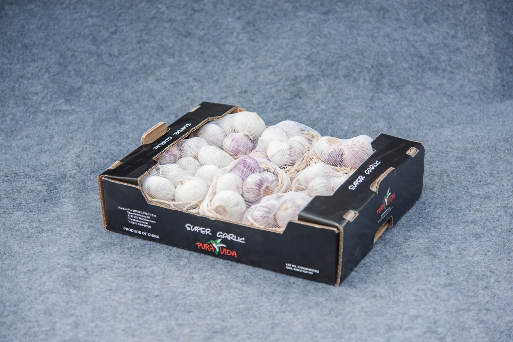 High quality fresh single clove garlic High quality fresh single clove garlic