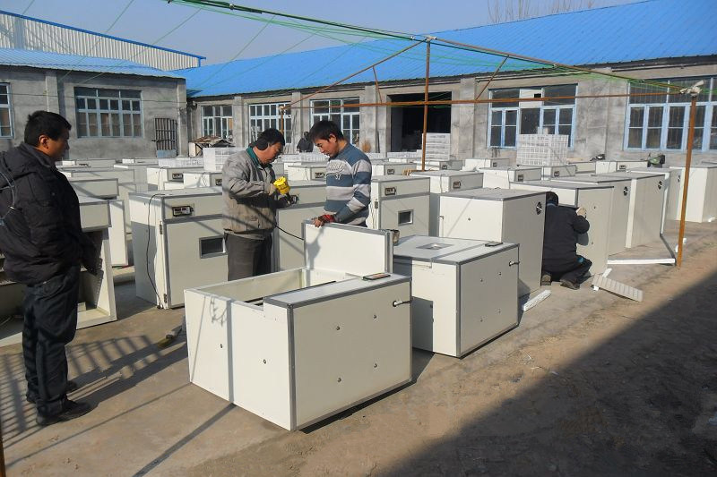 Energy-Saving Holding 5280 Chicken Eggs Incubators for Sale China