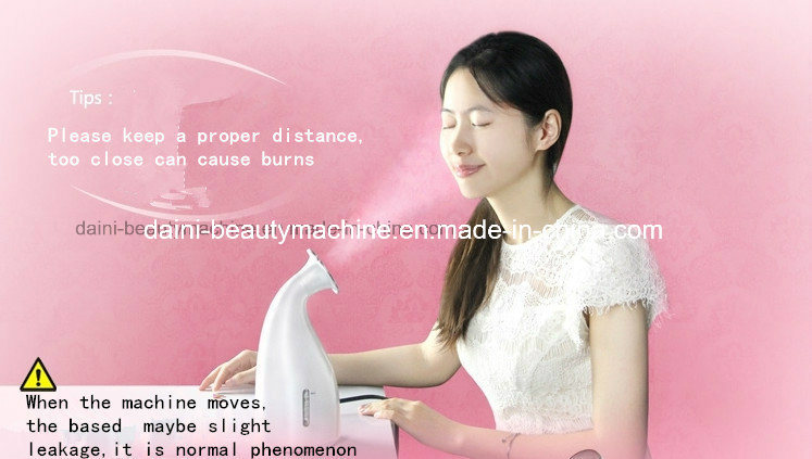 Hot Facial Steamer with Nano Ion Platinum Facial Steamer