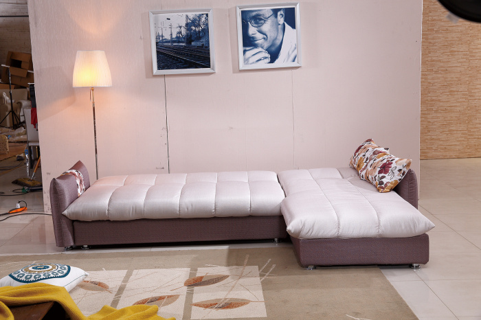 Hot Products Corner Sofa Bed with Storage Box