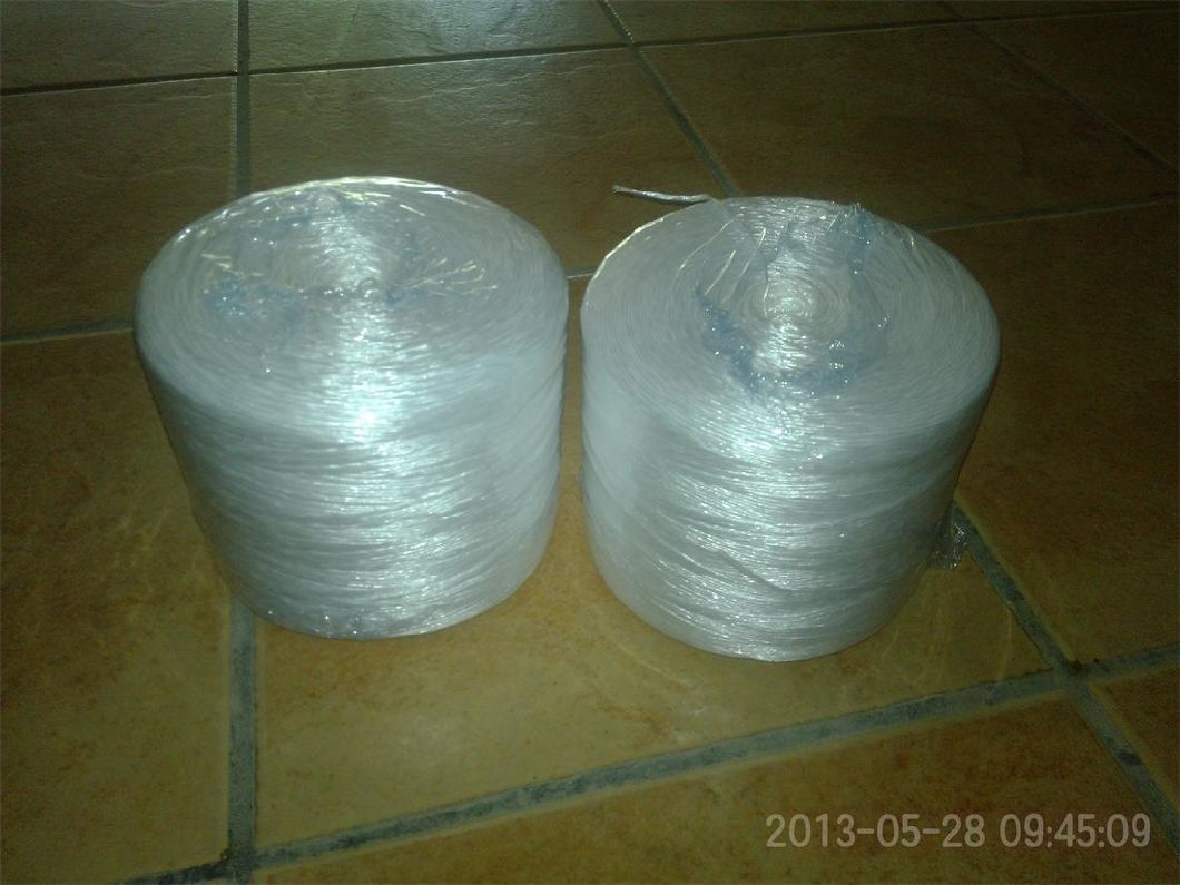 High Quality and Cheap Price Agriculture Packing Rope/PP Baler Twine