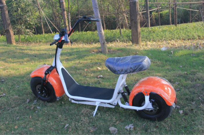 Eco-Friendly Harley Electric Scooter 800W Citycoco Scooter Fat Tire