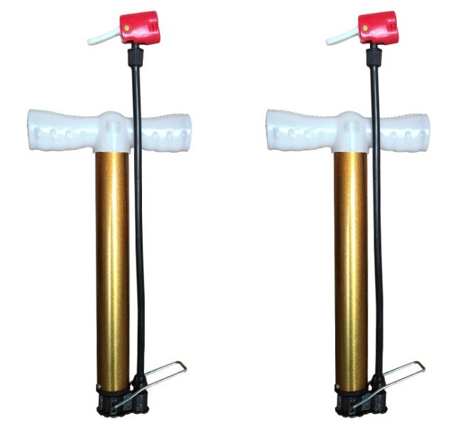 300g Mini Bicycle Hand Pump/Air Pump (CB-21-14)