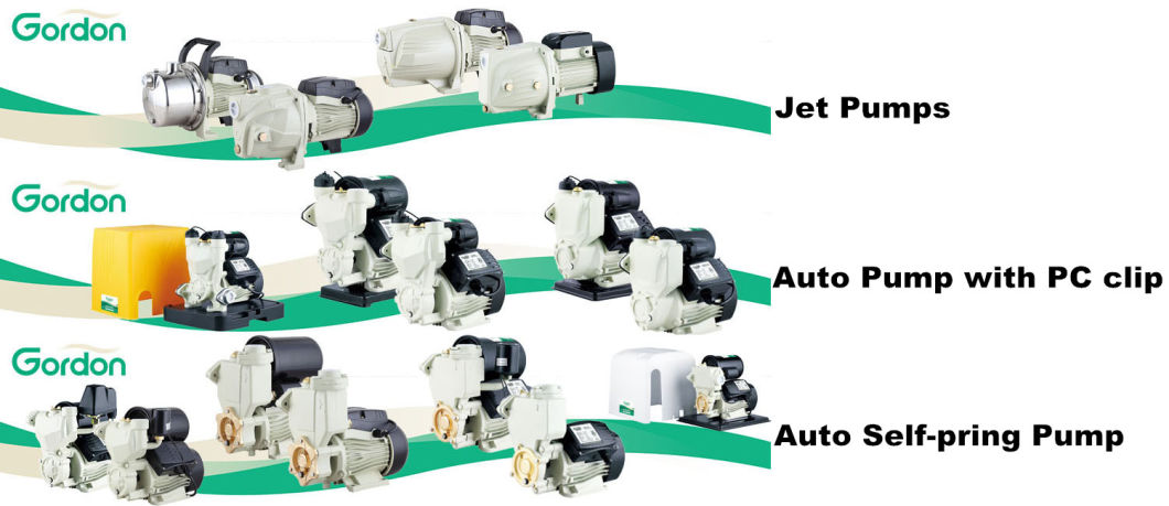 Self-Priming Electric Pump with Micro Switch for Water Supply