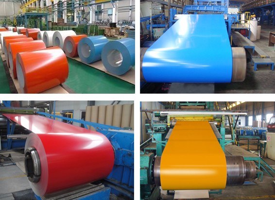 Prepainted Galvanized Steel Coil with Many Colors