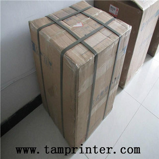 Tdy-300 Ce Certificate High Speed Small Electric Pad Printer