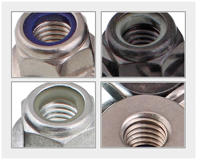 Stainless Steel Flange Nylon Lock Nut