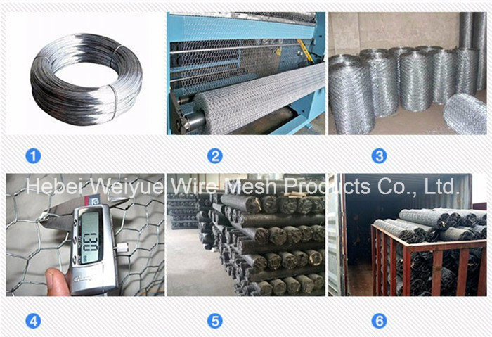 Hot Sale Galvanized Hexagonal Wire Mesh for Mesh Fence