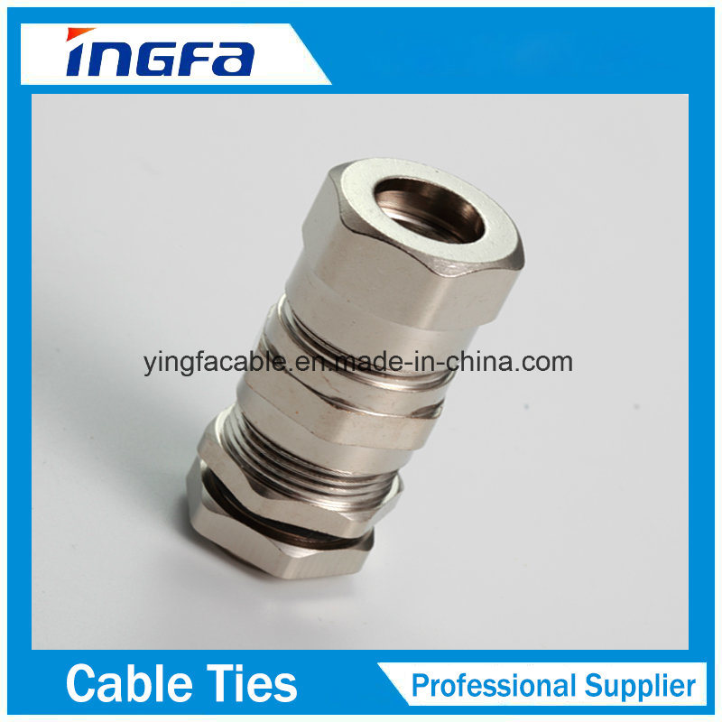 High Quality Brass Cable Gland with Nickel Plated Pg7 Pg16