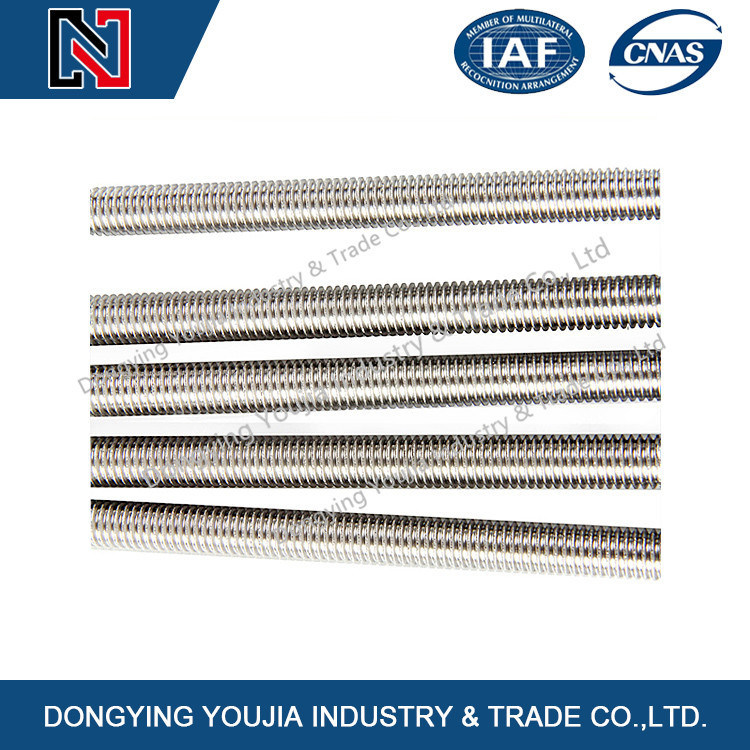 DIN975 Stainless Steel Threaded Rods