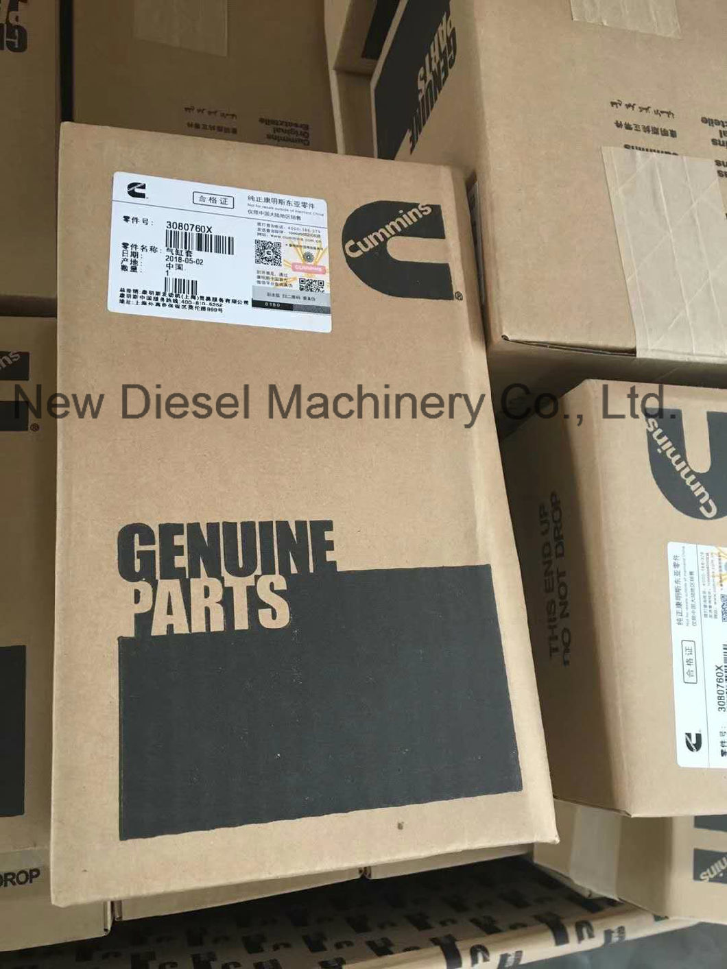 Genuine Cummins Diesel Engine Spare Parts (4BT, 6BT, 6CT, NTA855, KTA19, KTA38, KTA50)