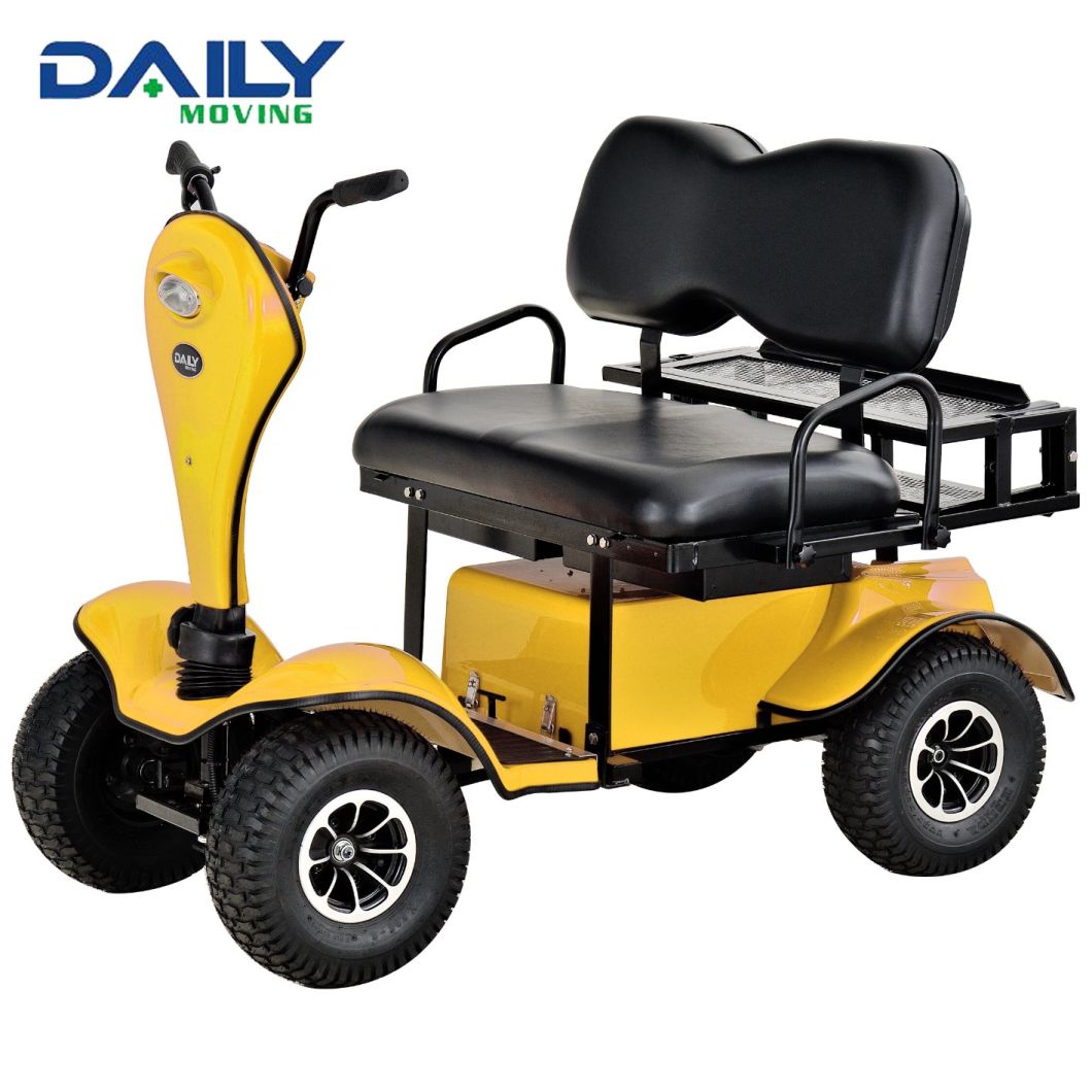 Ce Double Seat Mini Electric Golf Cart with 24V 1500W Motor Dm800