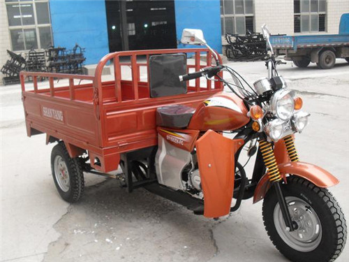 China New 250cc Motor Cargo Trike for Sale