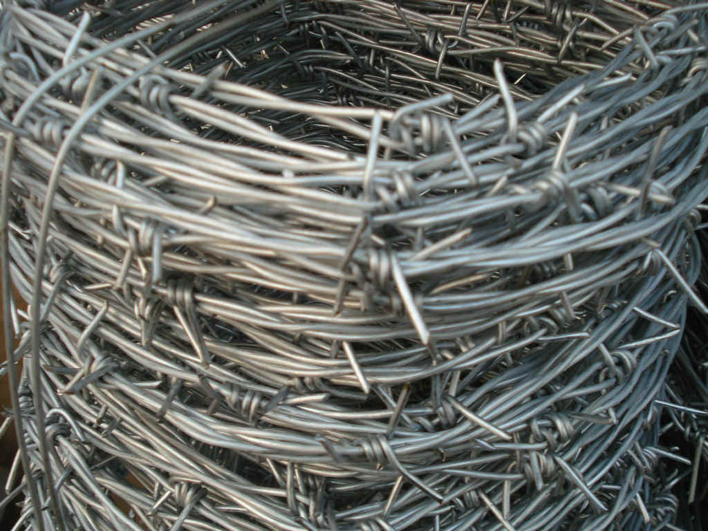 Barbed Wire (Galvanized and PVC Coated)