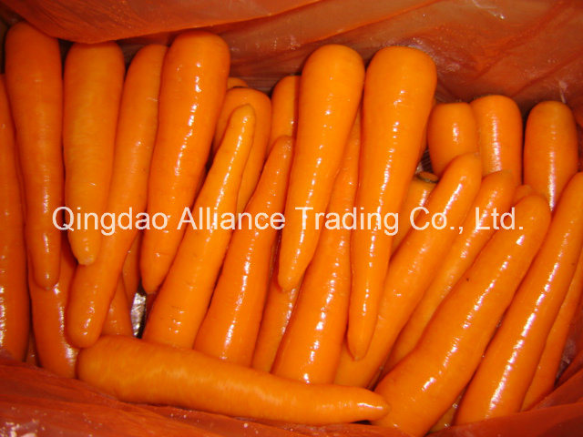 Fresh Carrot with High Quality