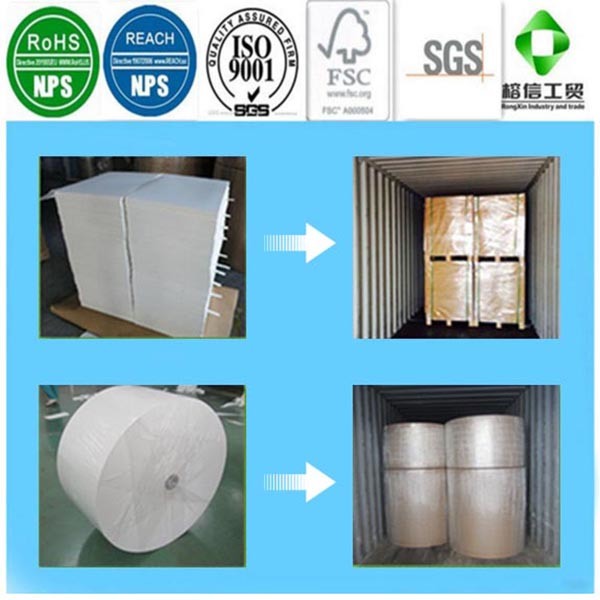 Double PE Coated Paper for Making Paper Cups