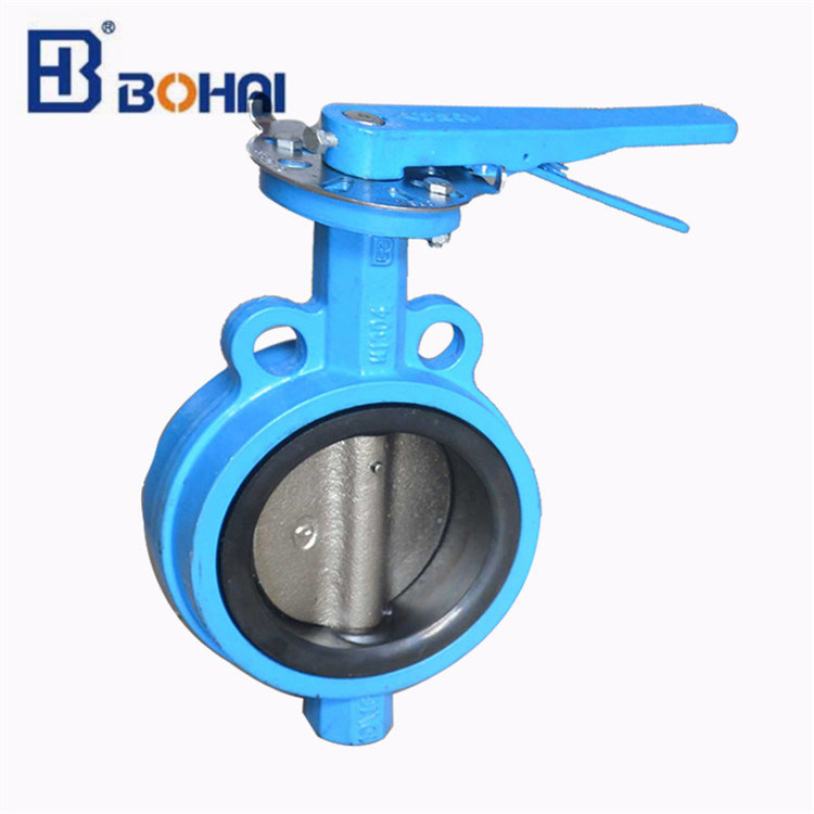 Lugged Type Butterfly Valve