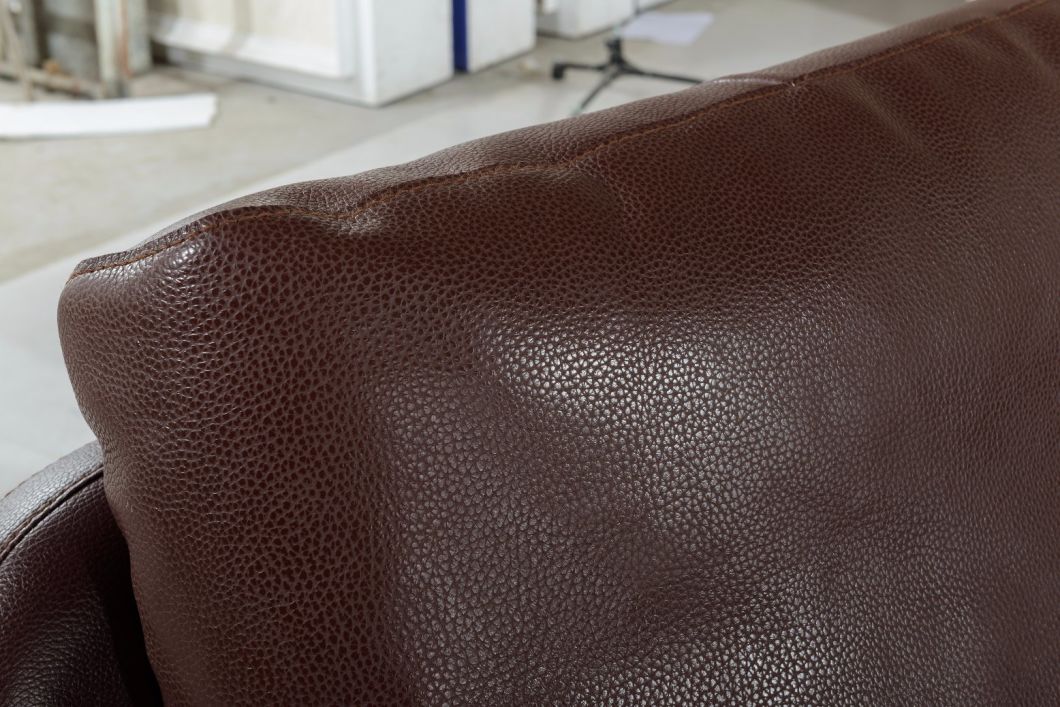 Modern Genuine Leather Sofa for Living Room Divany