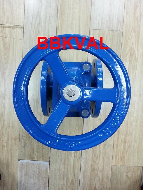 Resilient Gate Valve for Drinking Water