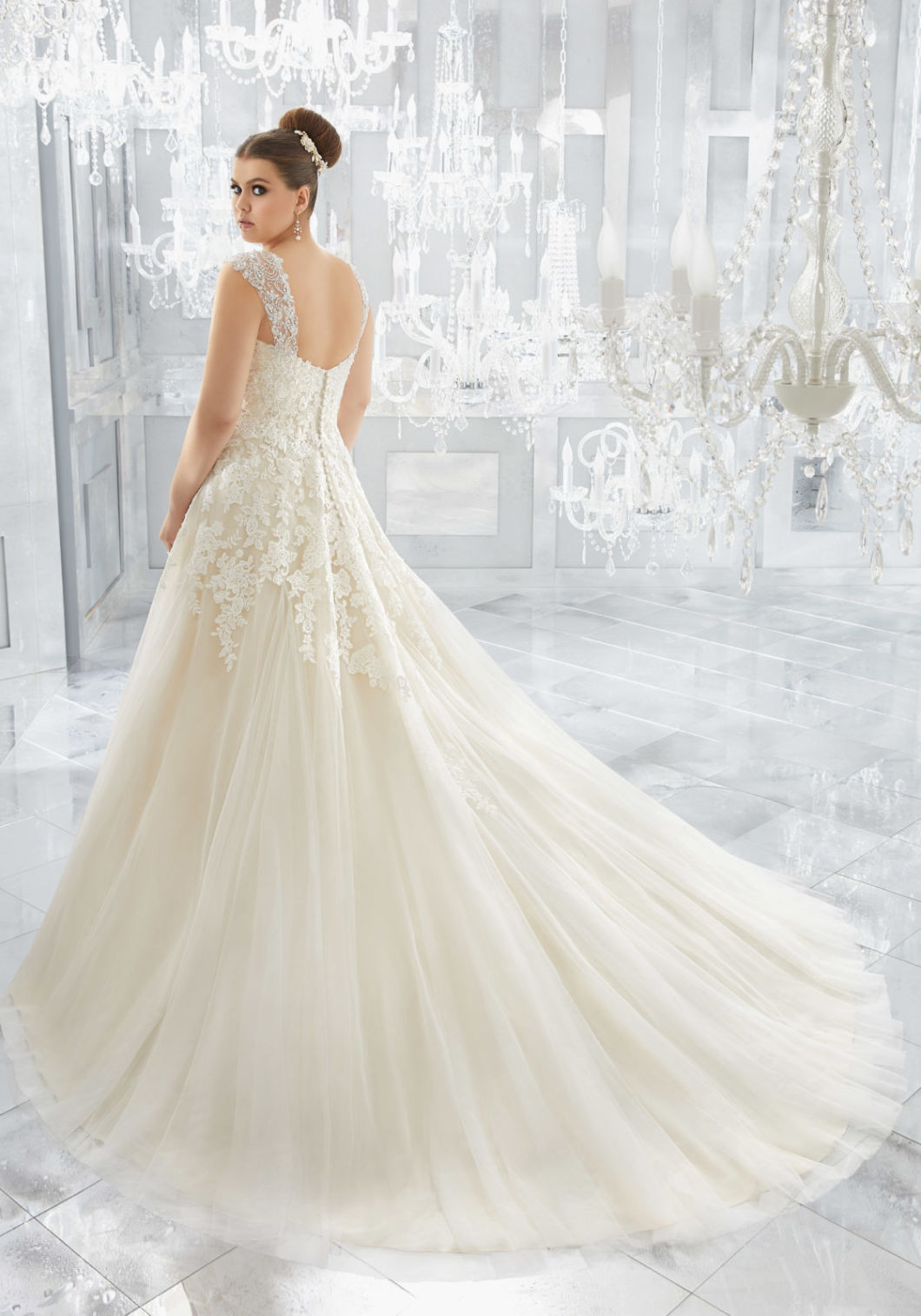 Lace Bridal Gowns Plus Size Tulle A-Line Wedding Dresses Z201612