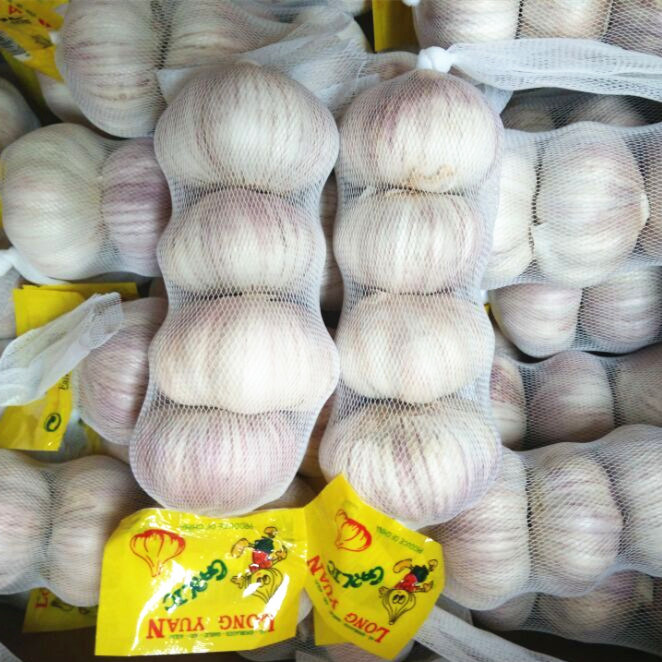 Loose Bag Packing Fresh White Garlic