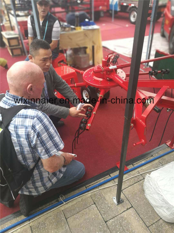 Ce Certificate 3500mm Working Width Mini Tractor Rotary Hay Rake 9ld-3.5