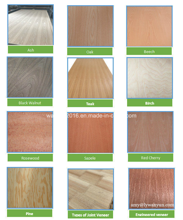 Decorative Teak/Walnut/Rosewood Veneer Plywood for Wooden Furniture