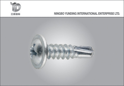 Modified Thruss Head Philips Coarse Thread Self-Tapping Screw 2016