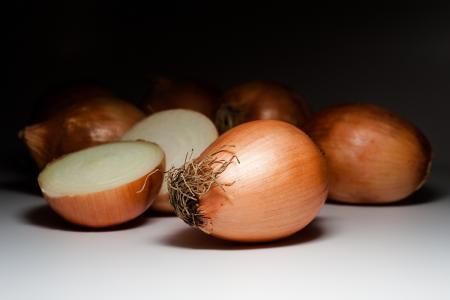 Fresh Yellow Onion with Competitive Price