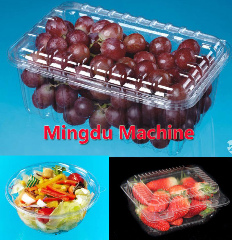 Plastic Disposable Coffee Cover Egg Tray Box Plate Forming Machine