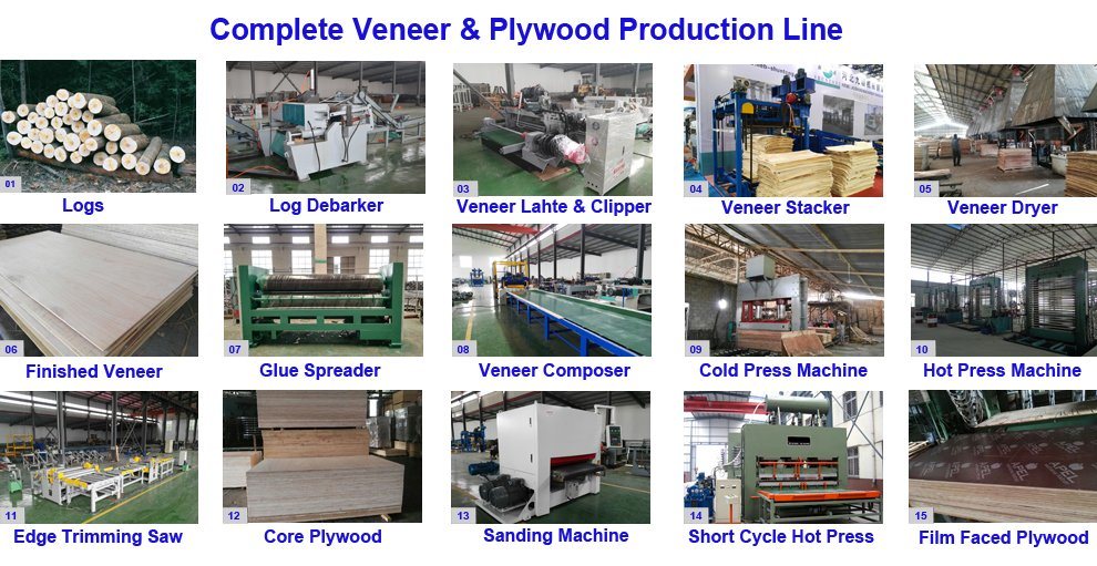 Liner Guide Knife Grinder for Plywood Making Machines