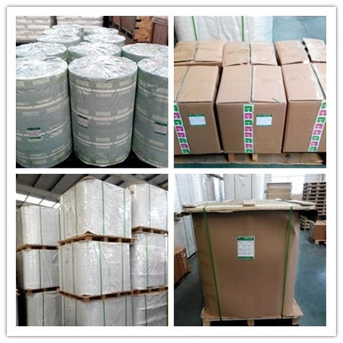 Customized Pharmaceutical Grade Grain Packing Material in Rolls