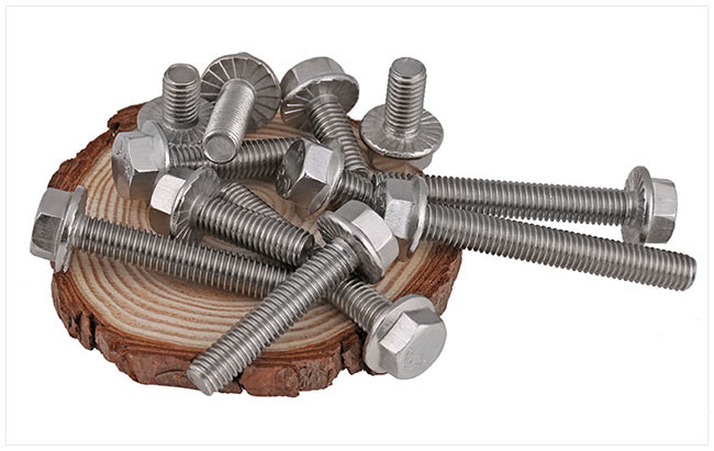 Stainless Steel Hex Head Hexagon Flange Bolt