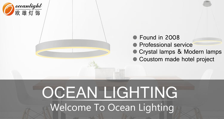 LED Acrylic Chandelier Modern Lamp New Pendant Lamp (OXD9920-L)