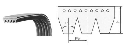 Poly V Belt, V Ribbed Belt, Pk Belt, 6pk975