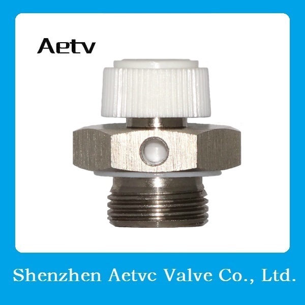 Stainless Steel 304 Manual Air Vent Valve