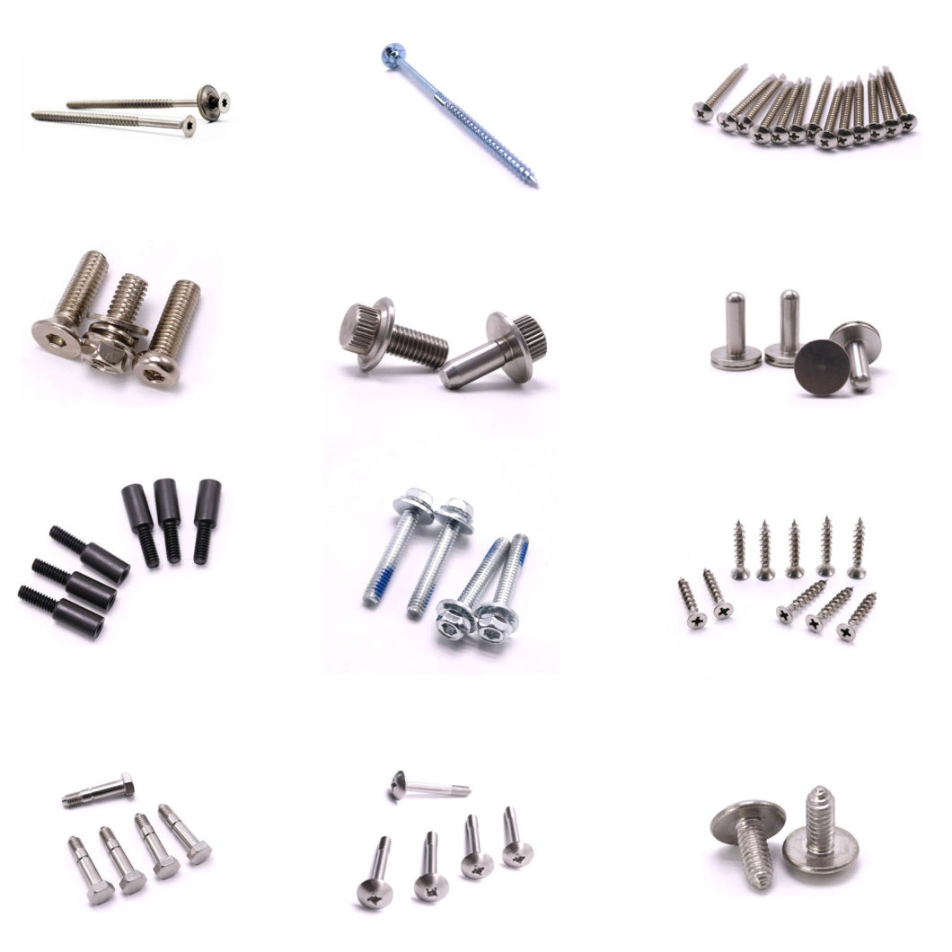 Stainless Steel Furniture Chipboard Self Drilling Wood Screw