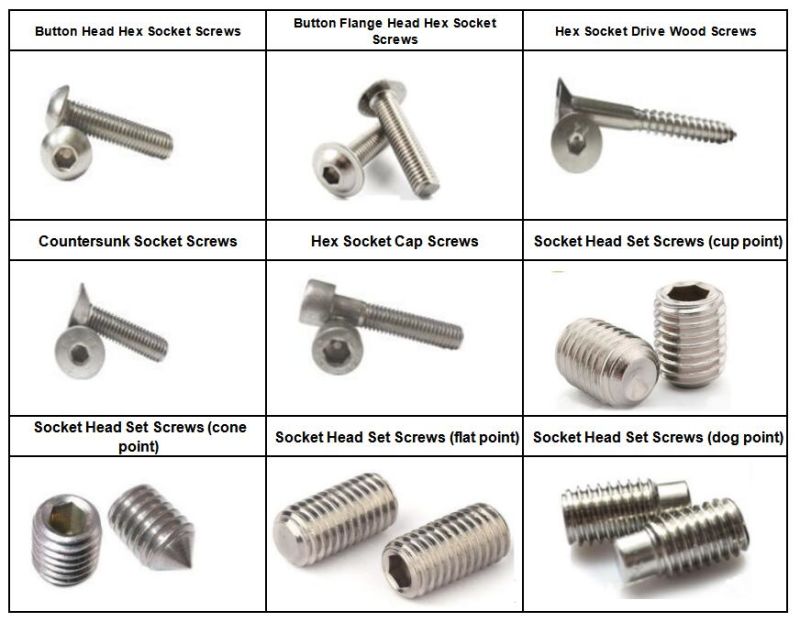 Ss 304 DIN916 Hex Socket Set Screw with Cup Point