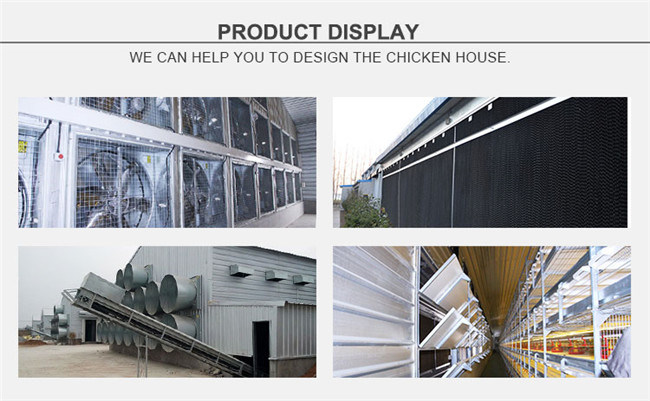 Environment Control Poultry Air Ventilation System