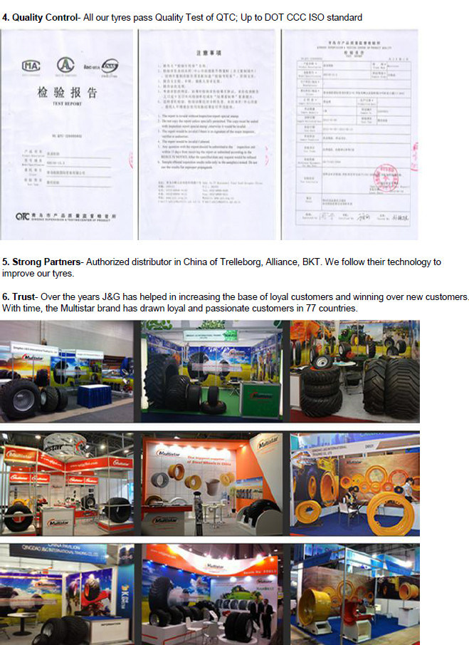 Agricultural Implement and Farm Machinery Bias Tyres