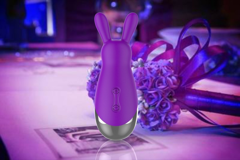 Portable 10 Speed Women Use Artificial Penis Sex Toy Rabbit Vibrator Wholesale